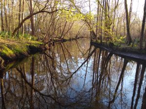 White Oak River at Dixon Field