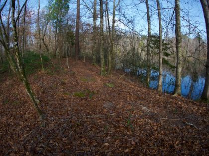 scenic view of the trail passing by a beaver pond