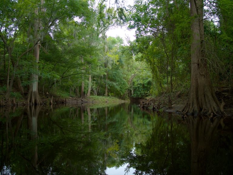 Kayaking the White Oak River