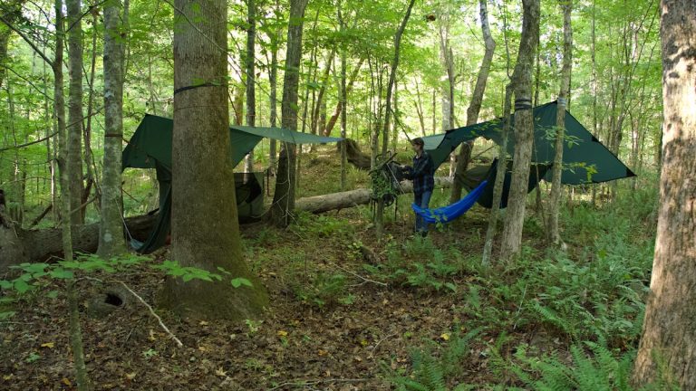 Camping Overnight South of Hillfield