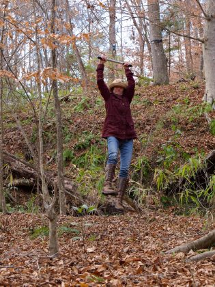 Improved zip-line in the forest