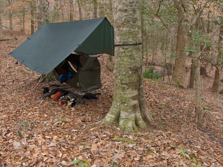 Camping on a Warm Night in February