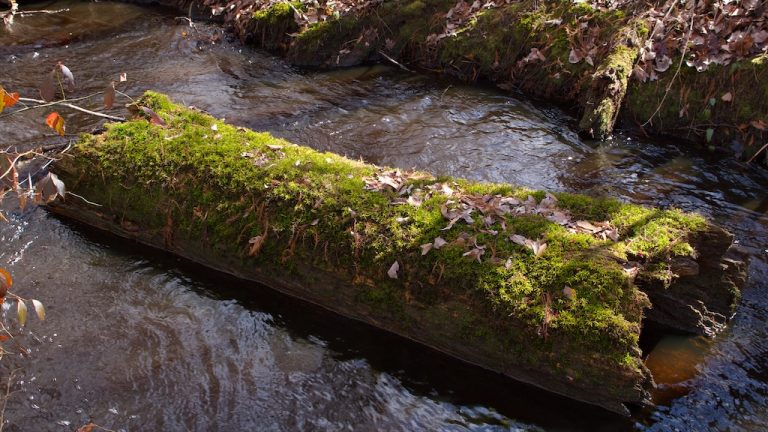 Hiking on the Last Day of February