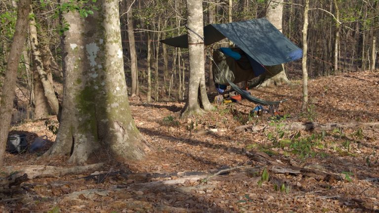 Another Overnight Primitive Camping Trip