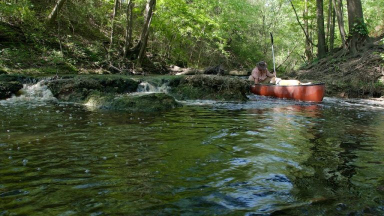 Paddling Trip on the White Oak River